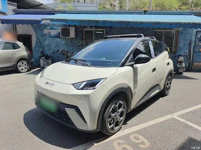 2024 BYD Seagull Glory Edition 305km Freedom Edition, фото 1, лот 10262792