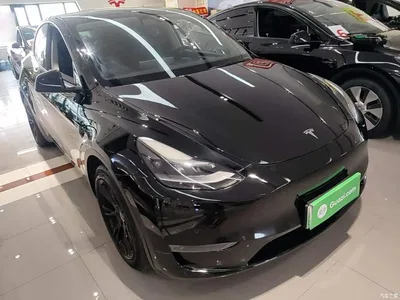 2021 Tesla Model Y Standard Range Rear-Wheel Drive, фото 4, лот 10369983