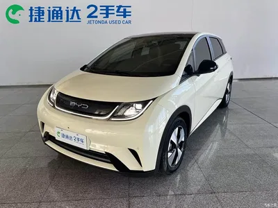 2023 Byd Dolphin, фото 1, лот 10243937