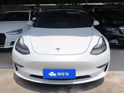 2020 Tesla Model 3 Standard Range Rear-Wheel Drive Upgrade, фото 2, лот 10270611