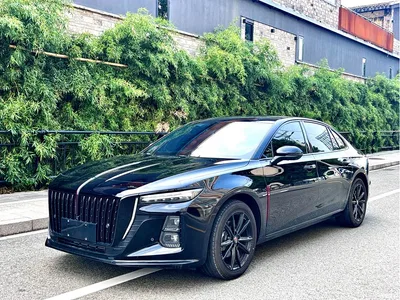 2025 Hongqi H5 1.5T DCT Mystic Shadow, фото 1, лот 11448611