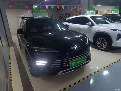 2023 BYD Song PLUS PHEV Champion Edition DM-i 110KM Flagship, фото 4, лот 11461511