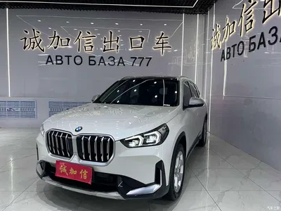 2023 BMW X1 sDrive20Li X Design Package, фото 1, лот 10415006