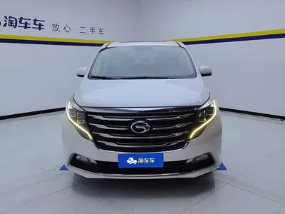 2020 GAC Trumpchi Trumpchi M8 390T Premium, фото 2, лот 11249024