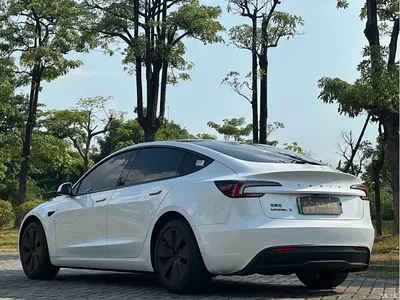 2025 Tesla Model 3 Model Rear-Wheel Drive Edition, фото 4, лот 11248661