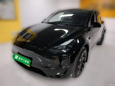2022 Tesla Model Y Rear-Wheel Drive Version, фото 3, лот 10895074