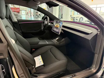2023 Tesla Model 3 Rear-Wheel Drive, фото 4, лот 10345878