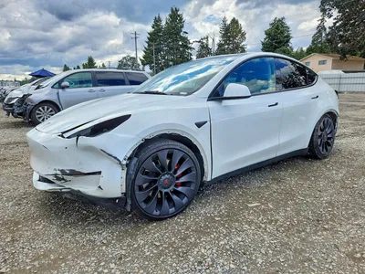 2022 TESLA MODEL Y, фото 1, лот 10856277