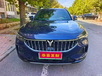 2021 Voyah Auto VOYAH FREE 4WD Extended Range Launch Edition Exclusive Luxury Package, фото 2, лот 11205151