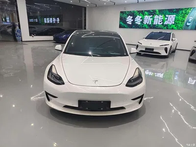 2021 Tesla Model 3 Standard Range Rear-Wheel Drive Upgrade, фото 2, лот 10361403