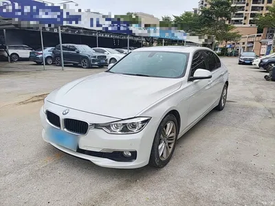 2017 BMW 3 Series 320Li Fashion, фото 2, лот 11564830