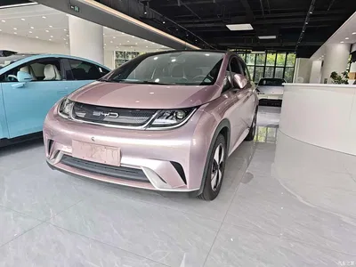 2023 BYD Dolphin 420km Fashion Edition, фото 3, лот 10593600