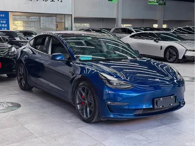 2021 Tesla Model 3 Performance High-Performance All-Wheel Drive, фото 3, лот 10357218