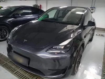 2024 Tesla Model Y Rear-Wheel Drive Version, фото 1, лот 10441114