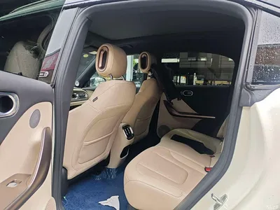 2022 smart Elf #1 Premium Edition, фото 4, лот 10344818