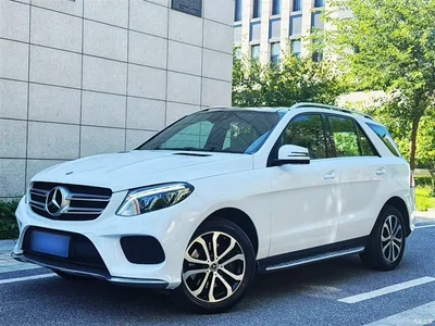 2016 Mercedes-Benz GLE 320 4MATIC Luxury, фото 2, лот 10305992