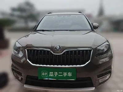 2017 Škoda Yeti TSI280 DSG Brothers Edition, фото 3, лот 10905258