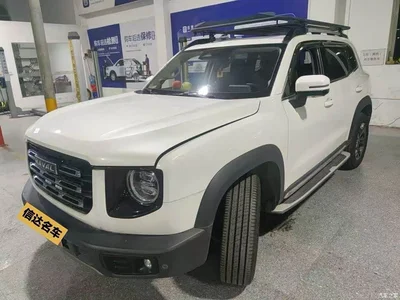 2021 Haval Big Dog 2.0T DCT 4WD Chinese Rural Dog Edition, фото 1, лот 11138265