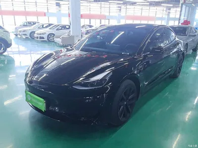 2022 Tesla Model 3 Model Rear-Wheel Drive Version, фото 1, лот 10370033