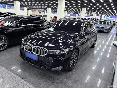 2024 BMW 3 Series 320Li M Sport Package, фото 1, лот 11448973