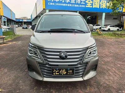 2020 Dongfeng Lingzhi M5L 2.0L Base 9-Seater, фото 2, лот 11159133
