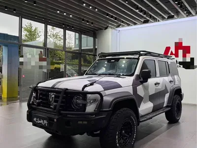 2023 Tank 300 Off-Road Edition 2.0T Conqueror, фото 1, лот 10345133