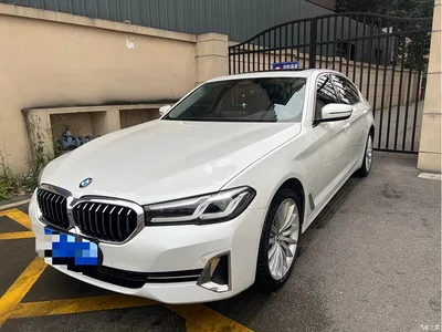 2023 BMW 5 Series 530Li Executive Luxury Package, фото 1, лот 10449596
