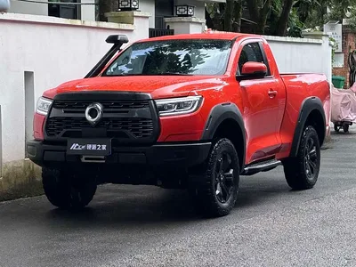 2021 Great Wall Pao 2.0T Cannon Edition GW4C20B, фото 1, лот 10246055