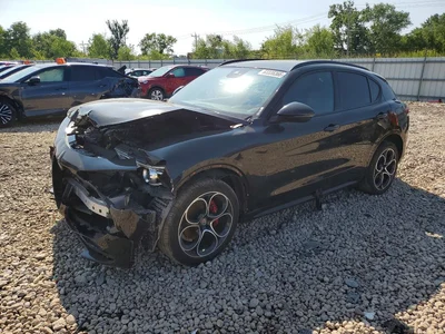 2021 ALFA ROMEO STELVIO TI, фото 1, лот 10654936