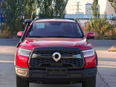 2020 Great Wall Pao 2.0T Off-Road Auto Diesel 4WD Advanced Edition Trailer Version GW4D20M, фото 2, лот 11003411