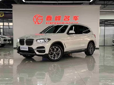 2019 BMW X3 xDrive28i Luxury Package, фото 1, лот 10461071