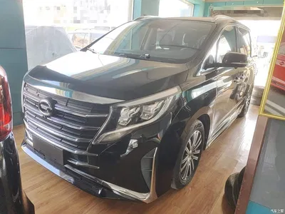 2021 GAC Trumpchi Trumpchi M8 Leading Show Series 390T Prestige Edition, фото 2, лот 10426331