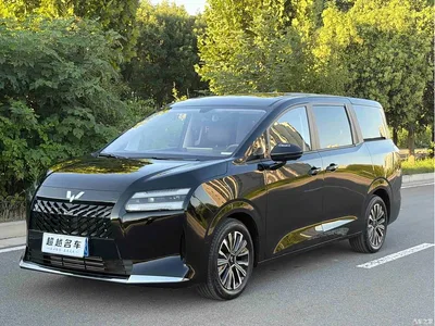 2025 Wuling Motors Xingguang 730 Model Base Version, фото 1, лот 11146787