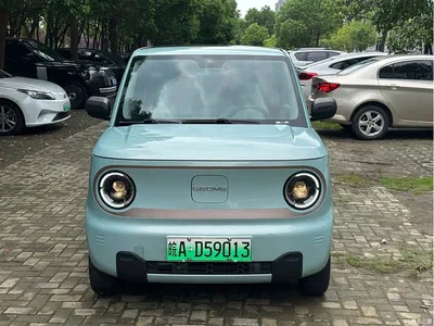 2023 Geely Galaxy Panda Mini 200km Lively Bear, фото 2, лот 10432309