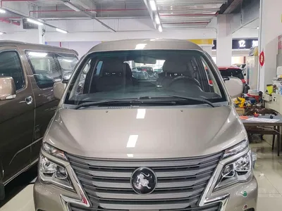 2023 Dongfeng Lingzhi M5L 1.6L Luxury 7-Seater, фото 1, лот 11148522