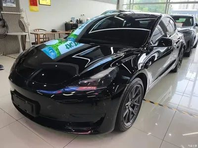 2022 Tesla Model 3 Model Rear-Wheel Drive Version, фото 1, лот 11192642