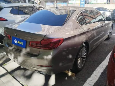2019 BMW 5 Series Facelift 525Li Luxury Package, фото 3, лот 11485665