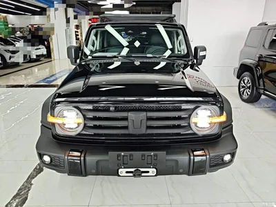 2021 Tank 300 Off-road Version 2.0T Conqueror, фото 3, лот 10812396
