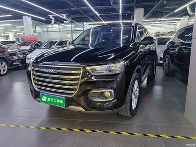 2019 Haval H6 1.5GDIT Automatic Champion Edition China VI, фото 2, лот 10284117