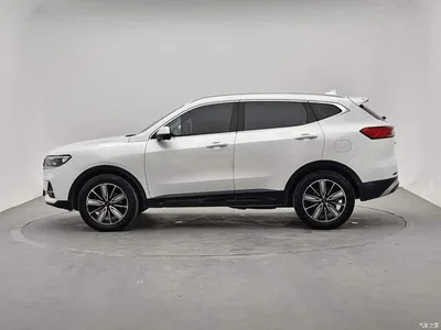 2023 Haval H6 National Trend Edition 1.5T Automatic Champion, фото 2, лот 11579479