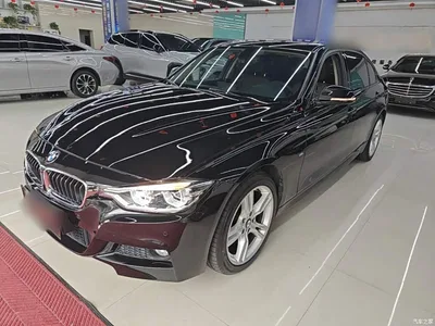 2018 BMW 3 Series 320Li Leading M Sport Package, фото 2, лот 11511722
