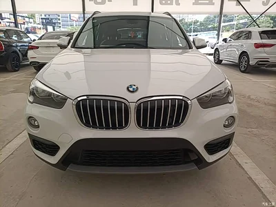 2019 BMW X1 sDrive18Li Fashion Model, фото 3, лот 10467297