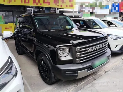 2024 Haval Meng Long NEV Hi4 145 Cross-country Edition, фото 4, лот 10387714