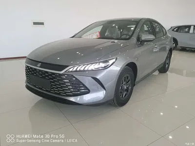 2026 BYD Qin PLUS DM-i 128KM Progressive, фото 1, лот 10363653