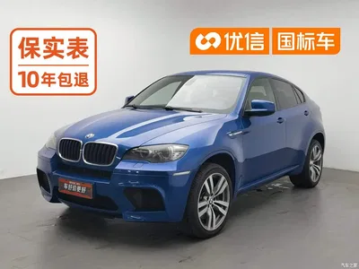 2010 BMW X6 M, фото 1, лот 10518618