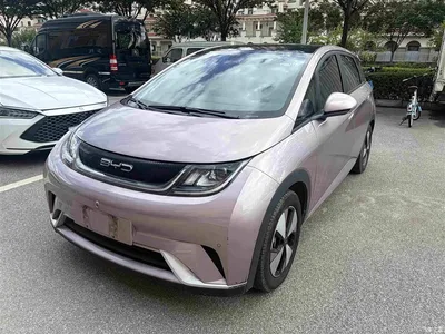 2023 BYD Dolphin 420km Fashion Edition, фото 1, лот 10247902