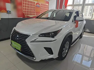 2020 Lexus NX 300h FWD F Sport China VI, фото 2, лот 10318983
