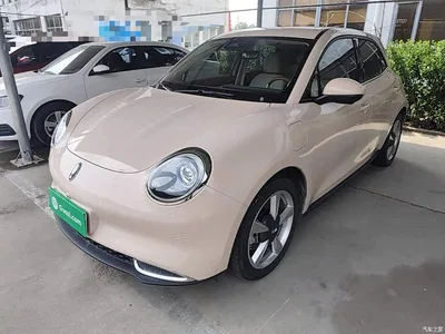 2023 Ora Good Cat 401km Standard Range Honor Edition (LFP), фото 2, лот 11412526