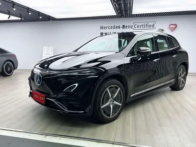 2023 Mercedes-Benz EQS SUV 450 4MATIC Pioneer Edition, фото 2, лот 10396958