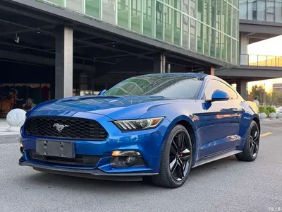 2017 Ford Mustang 2.3T Performance Edition, фото 1, лот 10671753